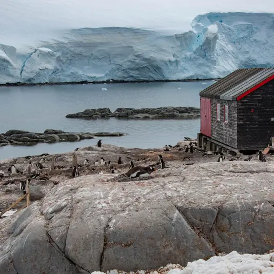Una ruta única a la Antártida