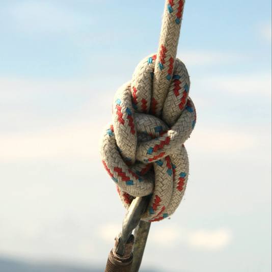 How can knots tying be an entertainment onboard a cruise ship?