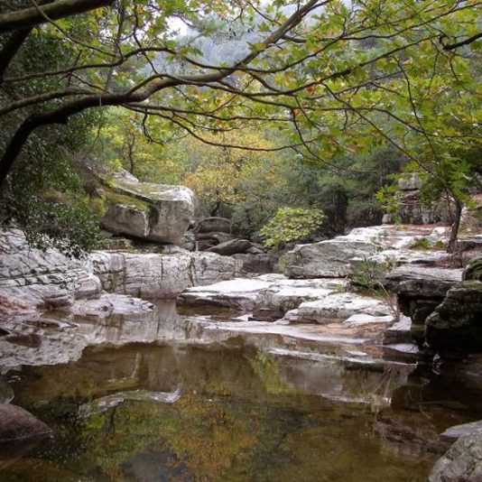 IKARIA: LA ISLA DE LA ZONA AZUL IDEAL PARA UN RETIRO DE YOGA