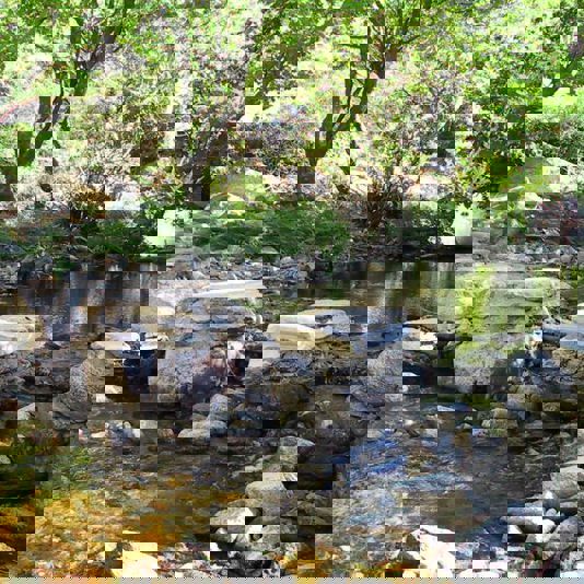 IKARIA: LA ISLA DE LA ZONA AZUL IDEAL PARA UN RETIRO DE YOGA