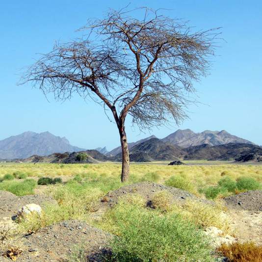 Marsa Alam