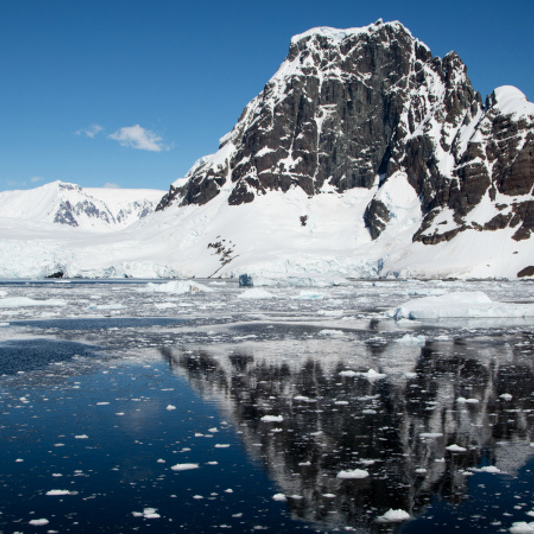 Expédition en Antarctique