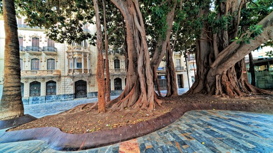 Cartagena