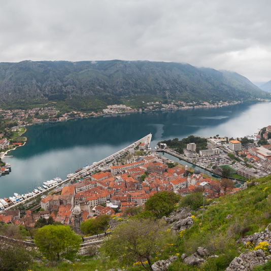 Kotor