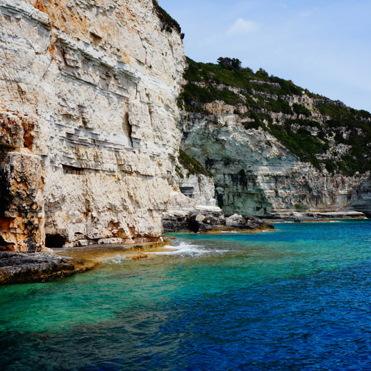 Paxos-Antipaxos