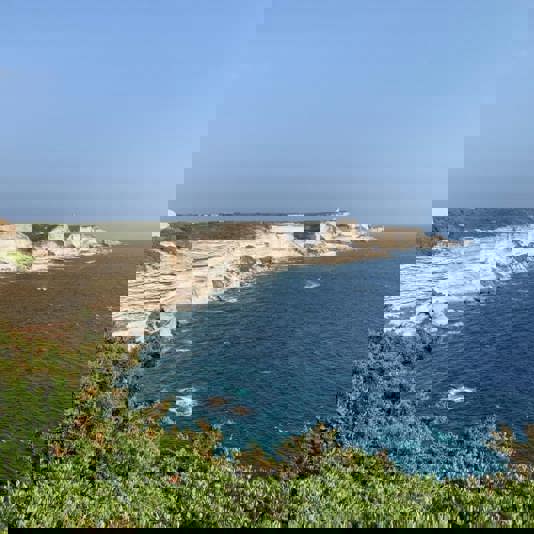 Bonifacio