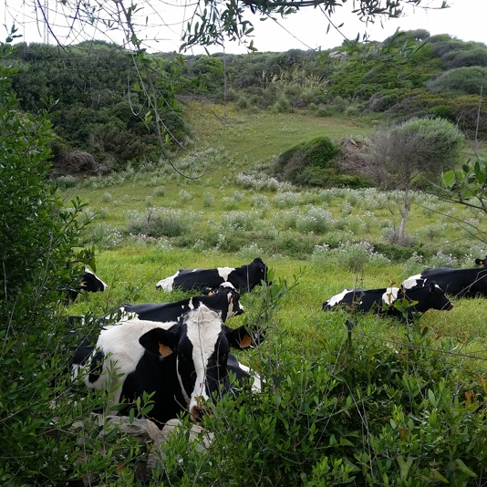 Mahon-Menorca