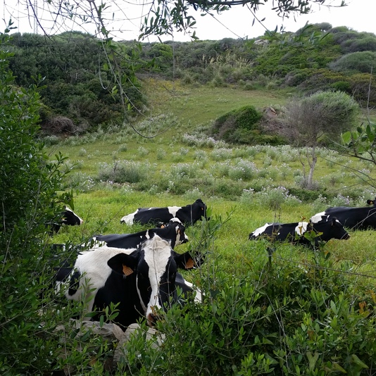 Mahón-Menorca