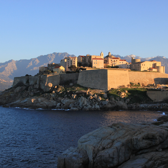 Calvi