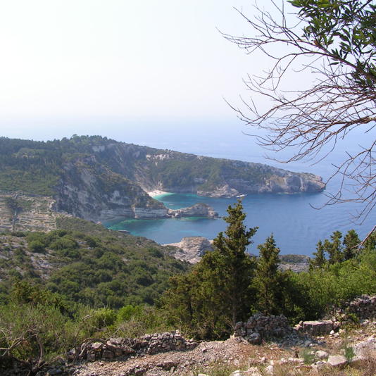 Paxos-Antipaxos