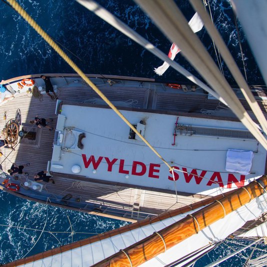 Wylde Swan