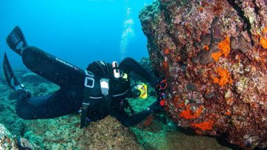 Aqualized Dive Adventures