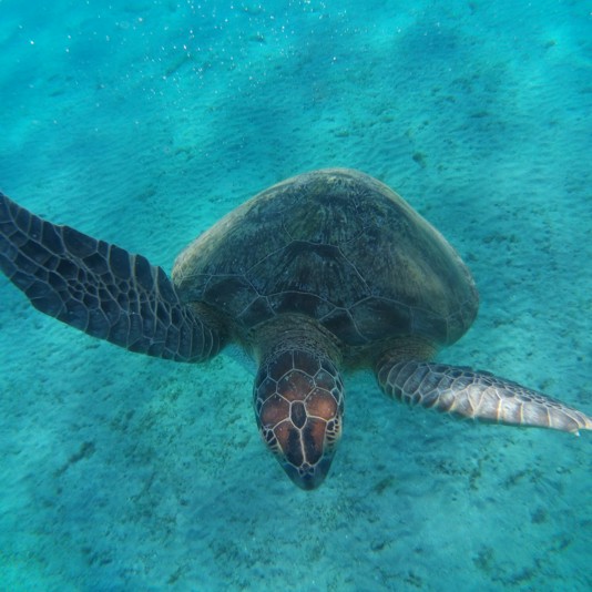 Marsa Alam