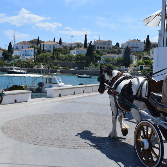 Spetses