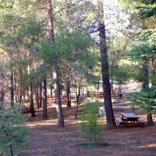 Barbeque spots