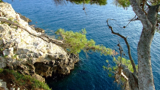Пула