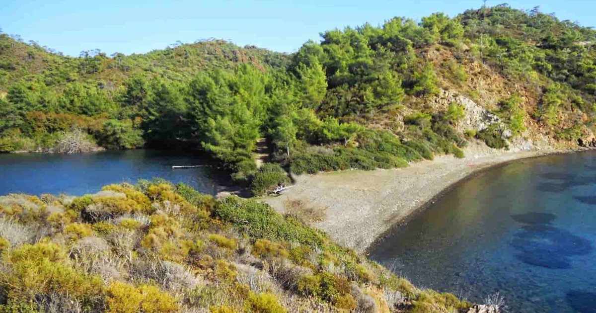 Bencil Cove
