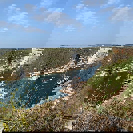 Bonifacio