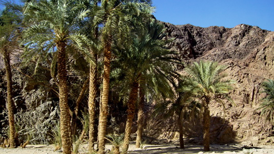 Nuweiba