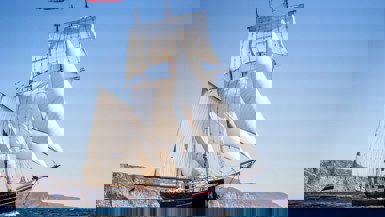 Wylde Swan Wylde Swan