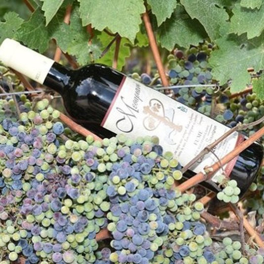 Mesariano Winery