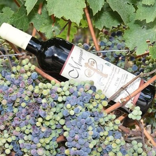 Weingut Mesariano