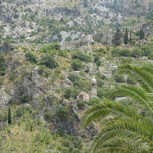 Kotor