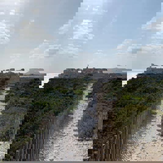 Bonifacio