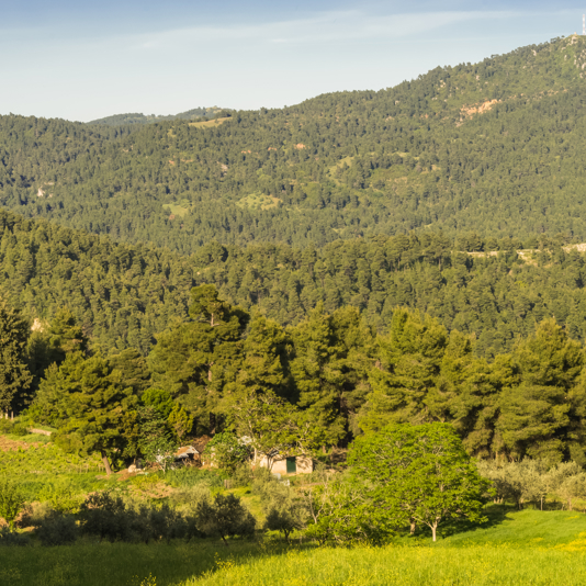 Euboea