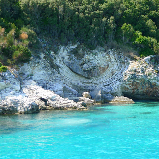 Paxos-Antipaxos