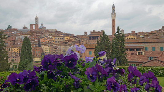Siena