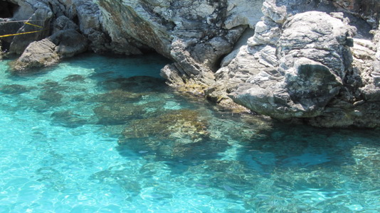 Paxos-Antipaxos