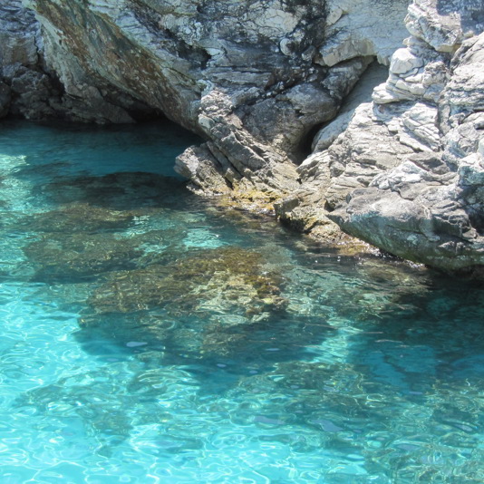Paxos-Antipaxos