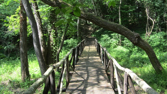 Varna