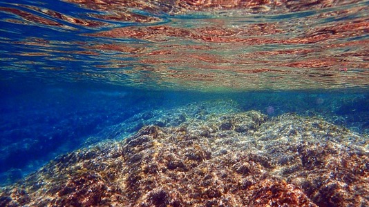 Ikaria