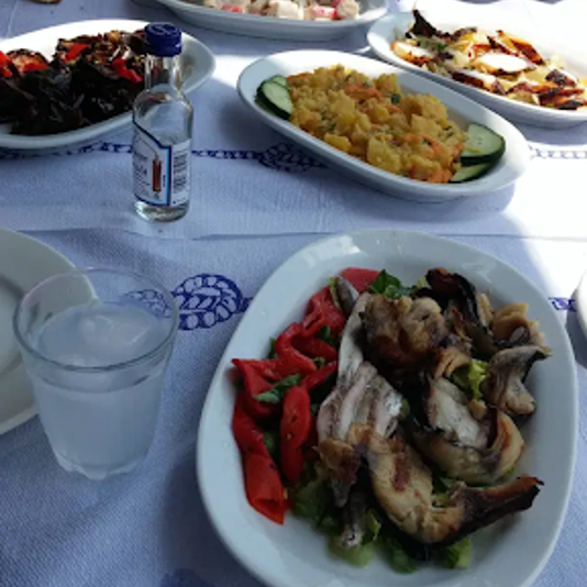 platos volos