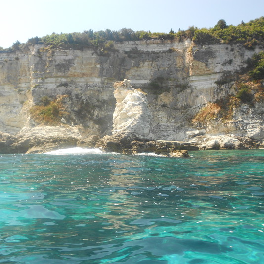 Paxos-Antipaxos