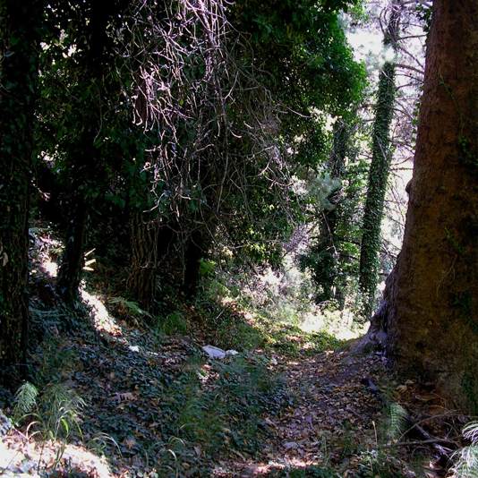 Montagnes de Samos