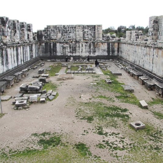 Oracle of Didyma